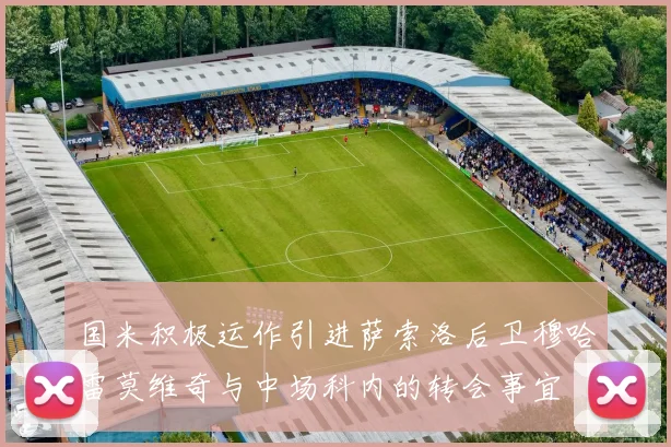 国米积极运作引进萨索洛后卫穆哈雷莫维奇与中场科内的转会事宜