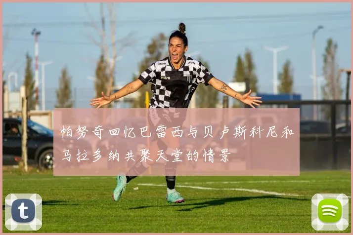 帕努奇回忆巴雷西与贝卢斯科尼和马拉多纳共聚天堂的情景